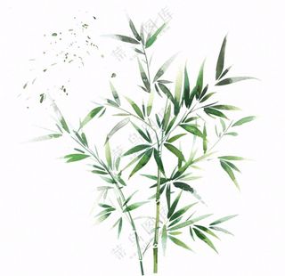 绿竹竹子绿植水墨画插画免抠