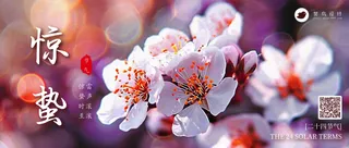 惊蛰公众号首图