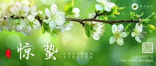 惊蛰公众号首图