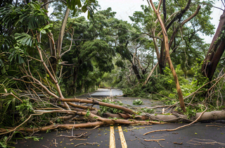 台风预警天气自然灾害