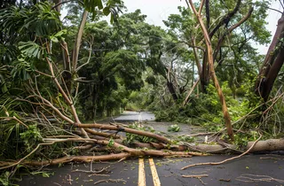 台风预警天气自然灾害