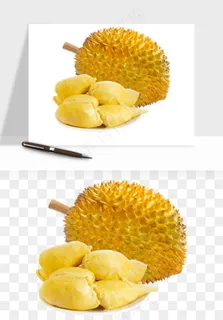 榴莲果肉水果png免抠