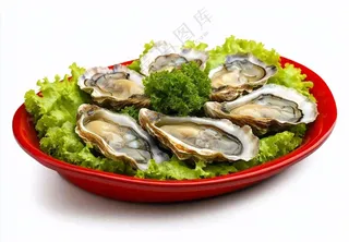 新鲜生蚝宵夜食物海鲜摄影图