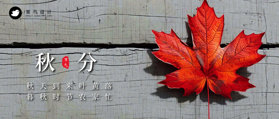 秋分公众号首图