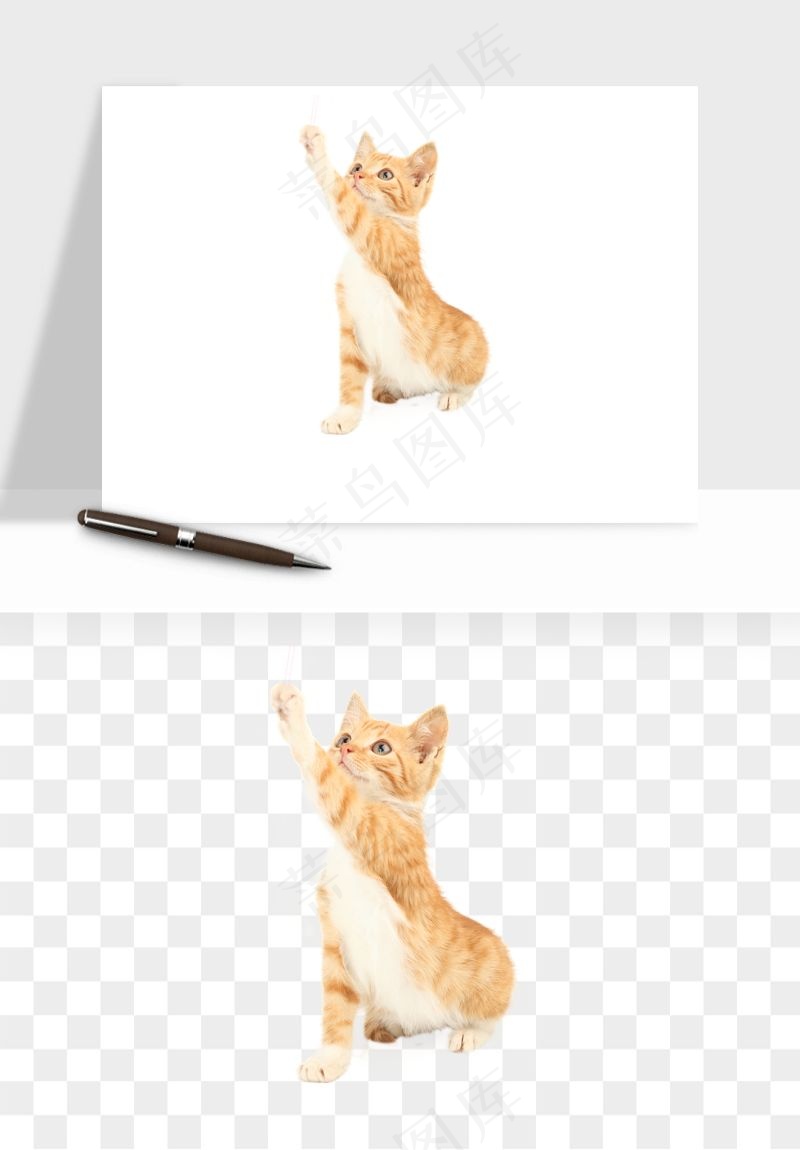 猫咪喵星人狗狗宠物元素png免抠