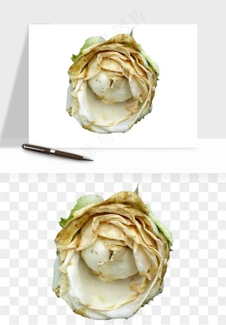 复古鲜花玫瑰png免抠