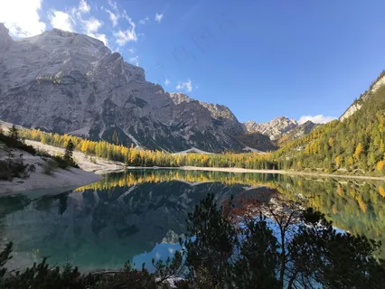 山间清泉碧水映翠林 山间清泉碧水映翠林