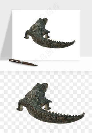 鳄鱼动物png免抠