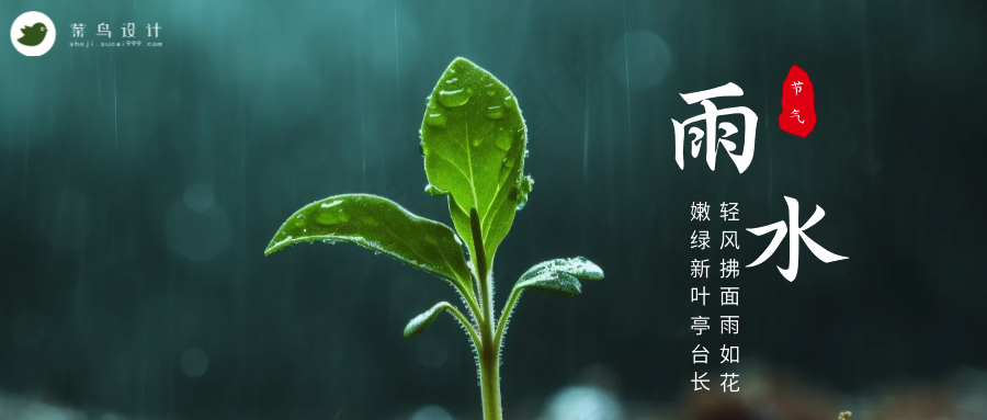 雨水公众号首图