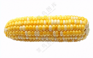 玉米蔬菜生鲜摄影图