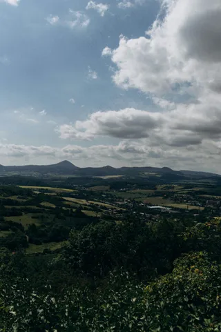 绿意盎然的自然风光摄影