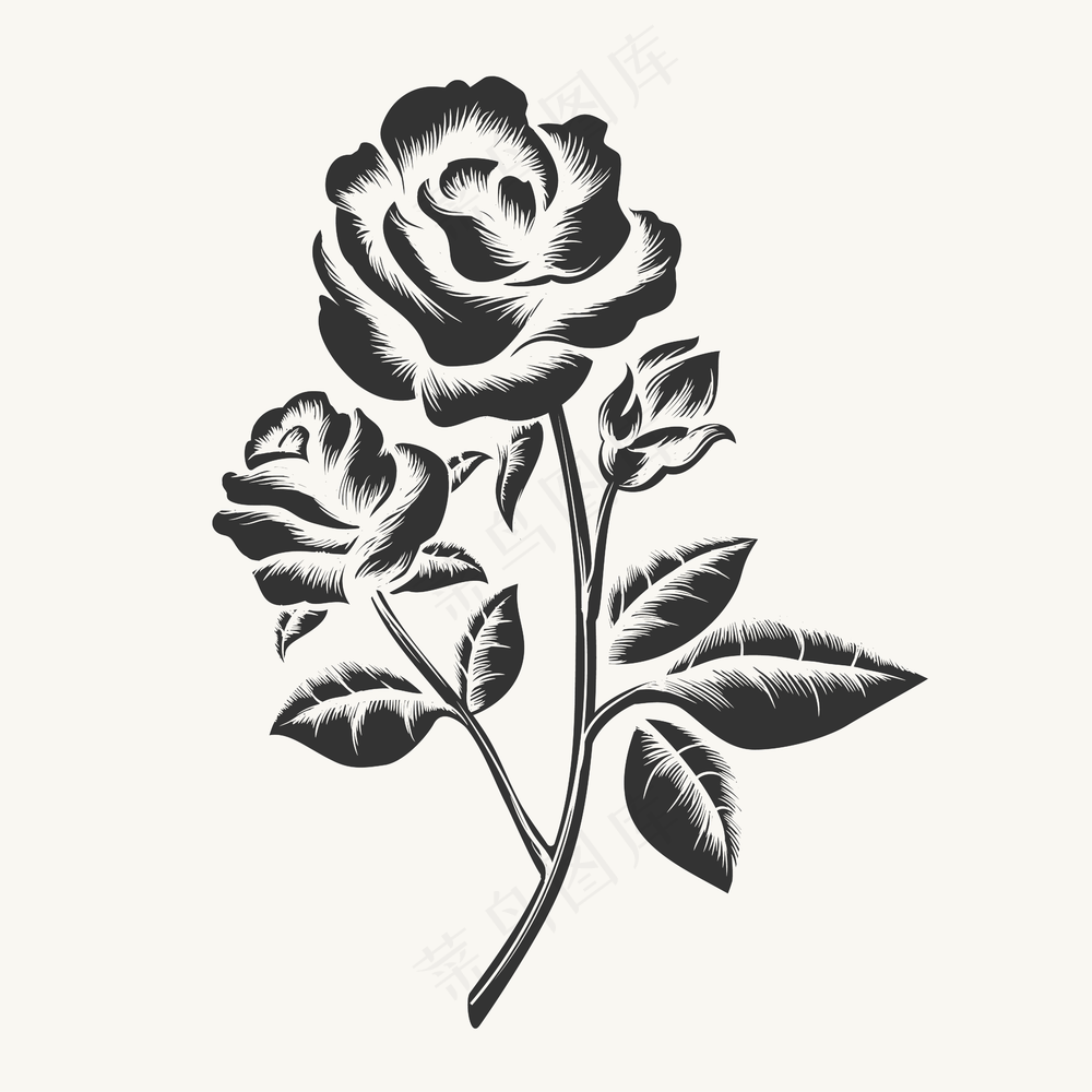 黑色高雅玫瑰花朵雕刻图像绘制装饰版画