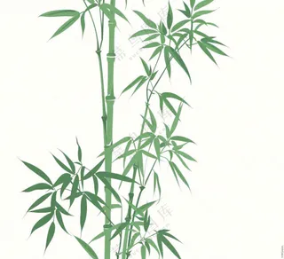 绿竹竹子绿植水墨画插画免抠