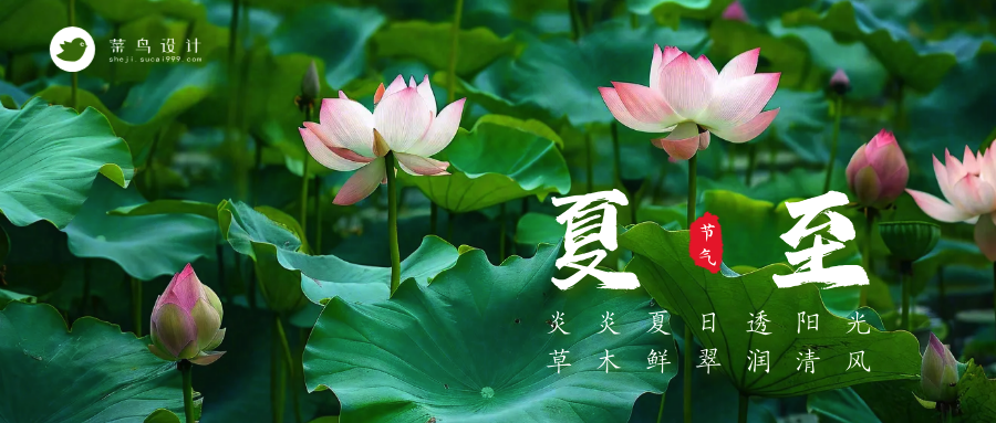 夏至公众号首图