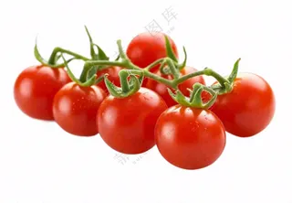 西红柿小番茄免抠