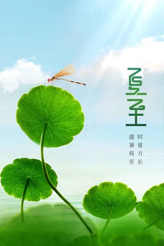 夏至节气传统活动海报