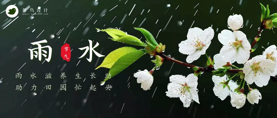 雨水公众号首图