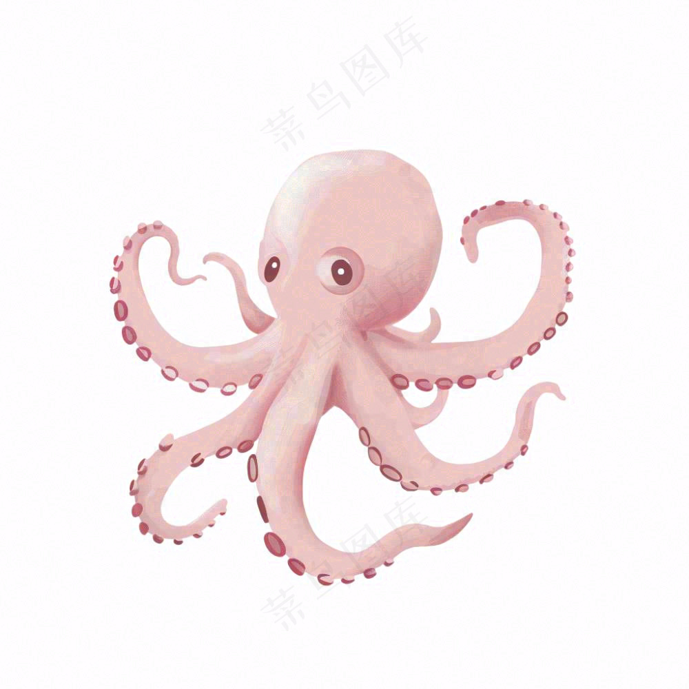 海洋动物章鱼墨鱼鱿鱼卡通插画免抠
