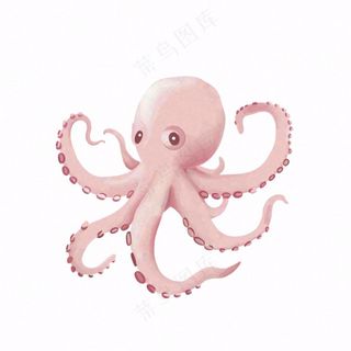海洋动物章鱼墨鱼鱿鱼卡通插画免抠