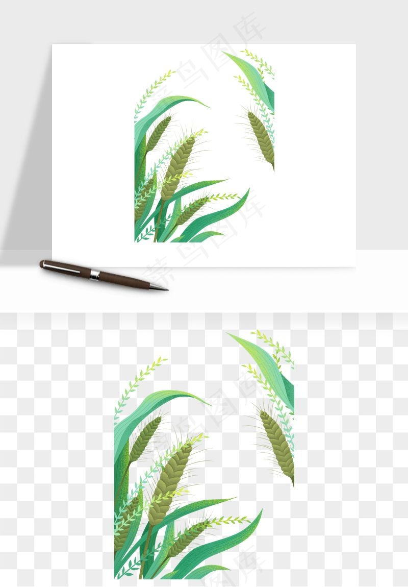 植物花卉边框装饰png免抠