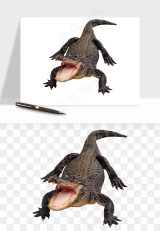 鳄鱼动物png免抠