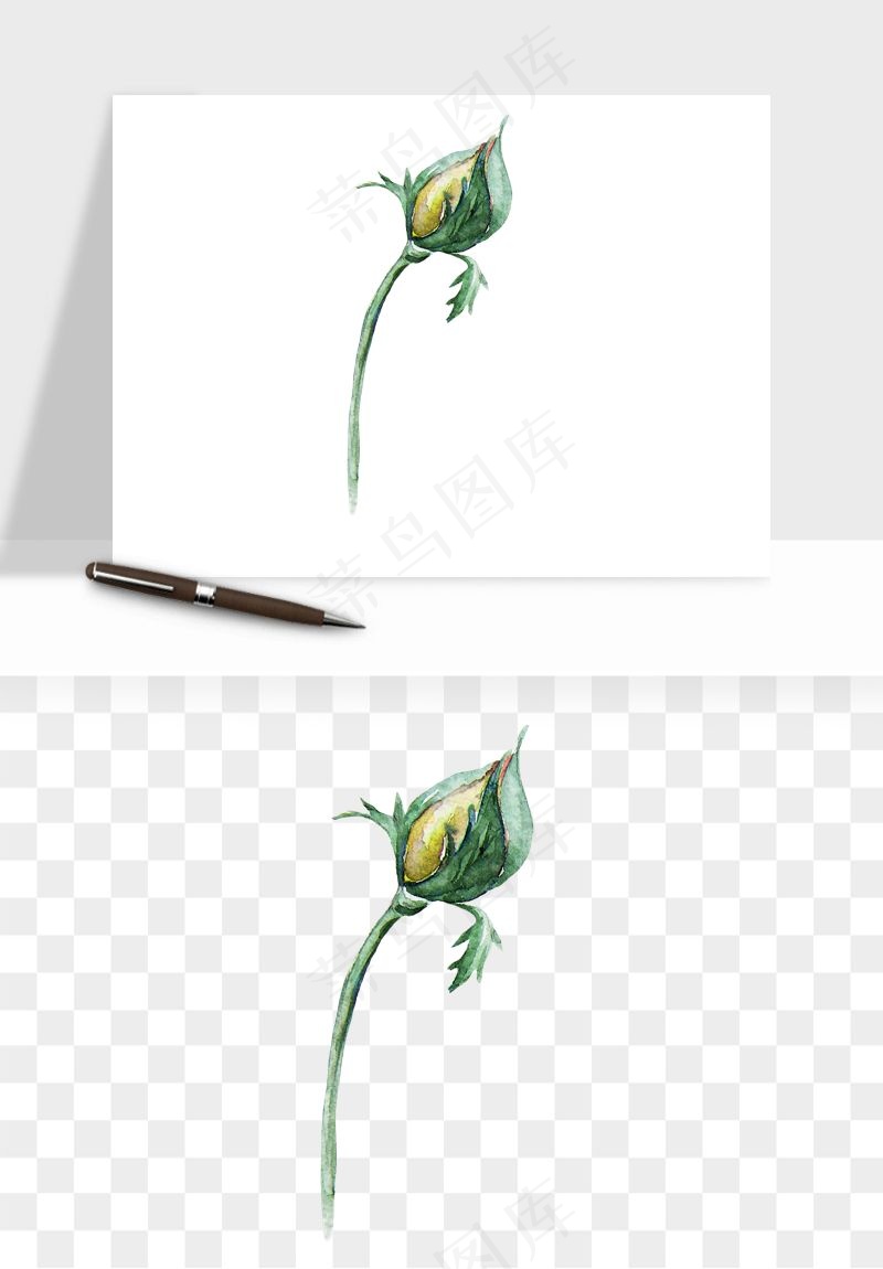 水彩复古花卉png免抠