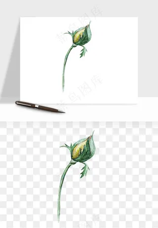 水彩复古花卉png免抠