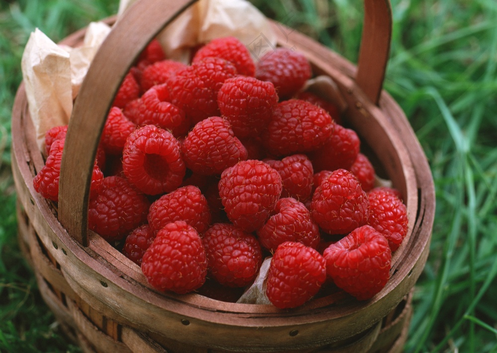 新鲜水果摄影图片 (63)