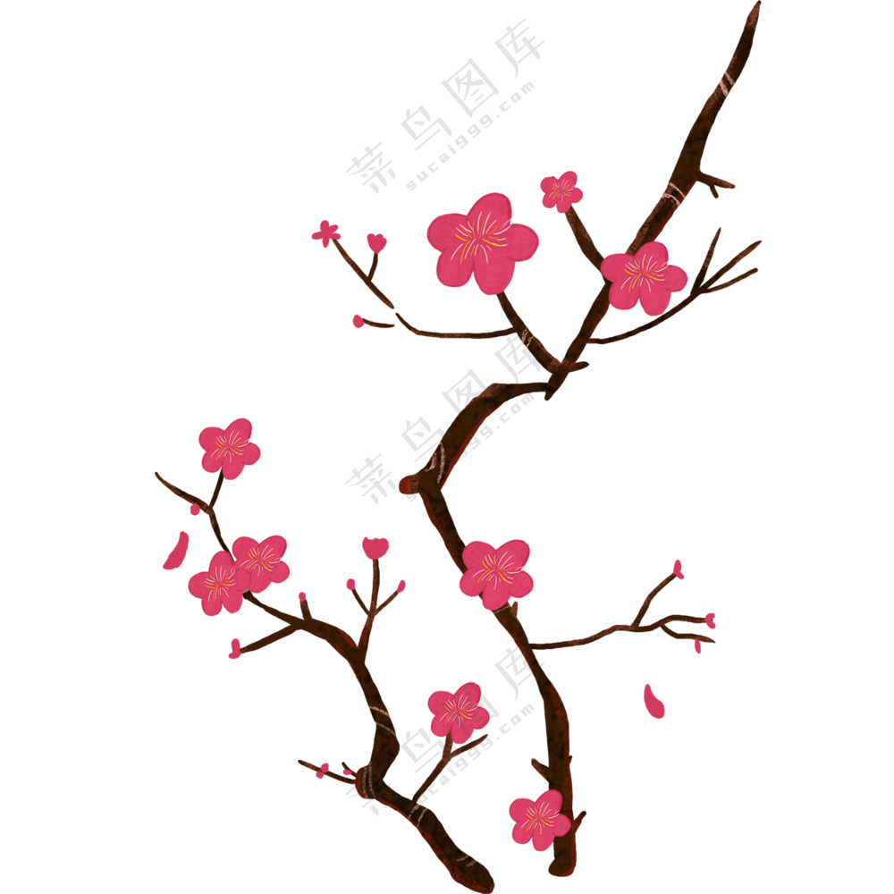 盛开着红色小花的树枝PNG图片素材