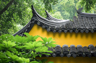 中式庭院屋檐绿植环境摄影图