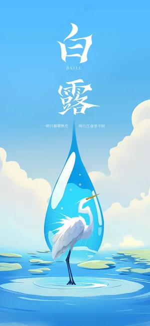 白露节气传统活动海报