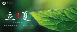 立夏公众号首图