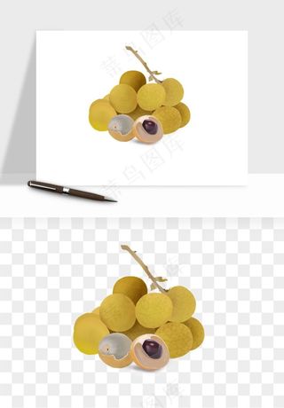 龙眼桂圆水果png免抠