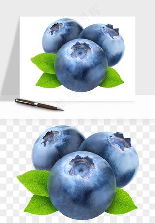 蓝莓水果png免抠