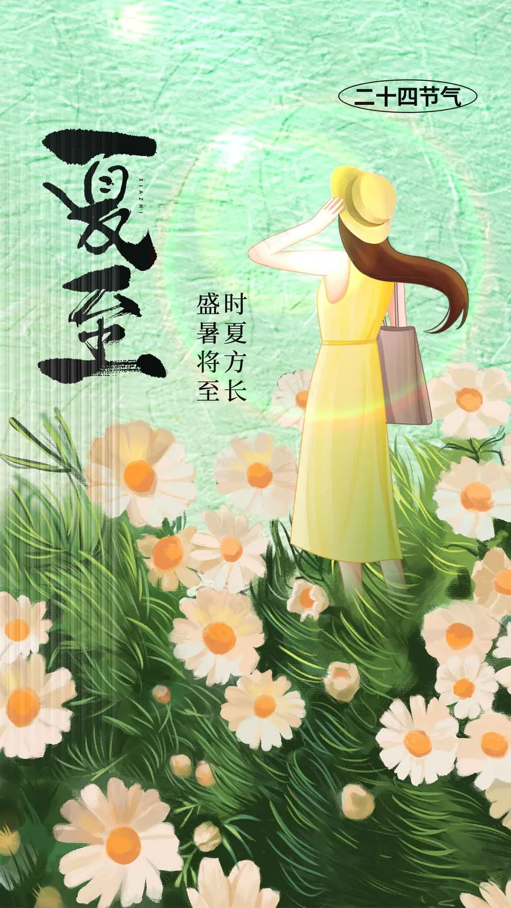 夏至节气传统海报