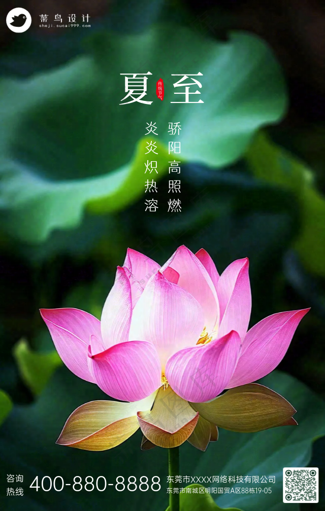 夏至手机海报