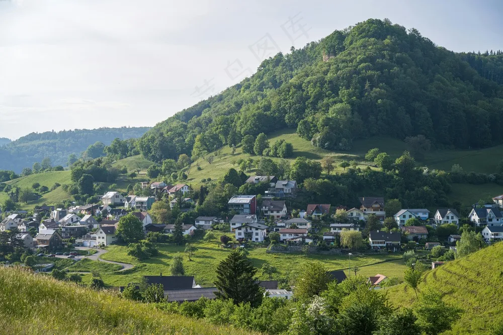 静谧山谷绿意浓