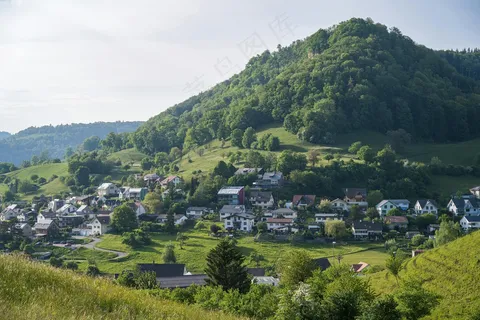 静谧山谷绿意浓