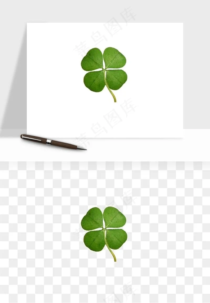 手绘四叶草幸运植物png免抠