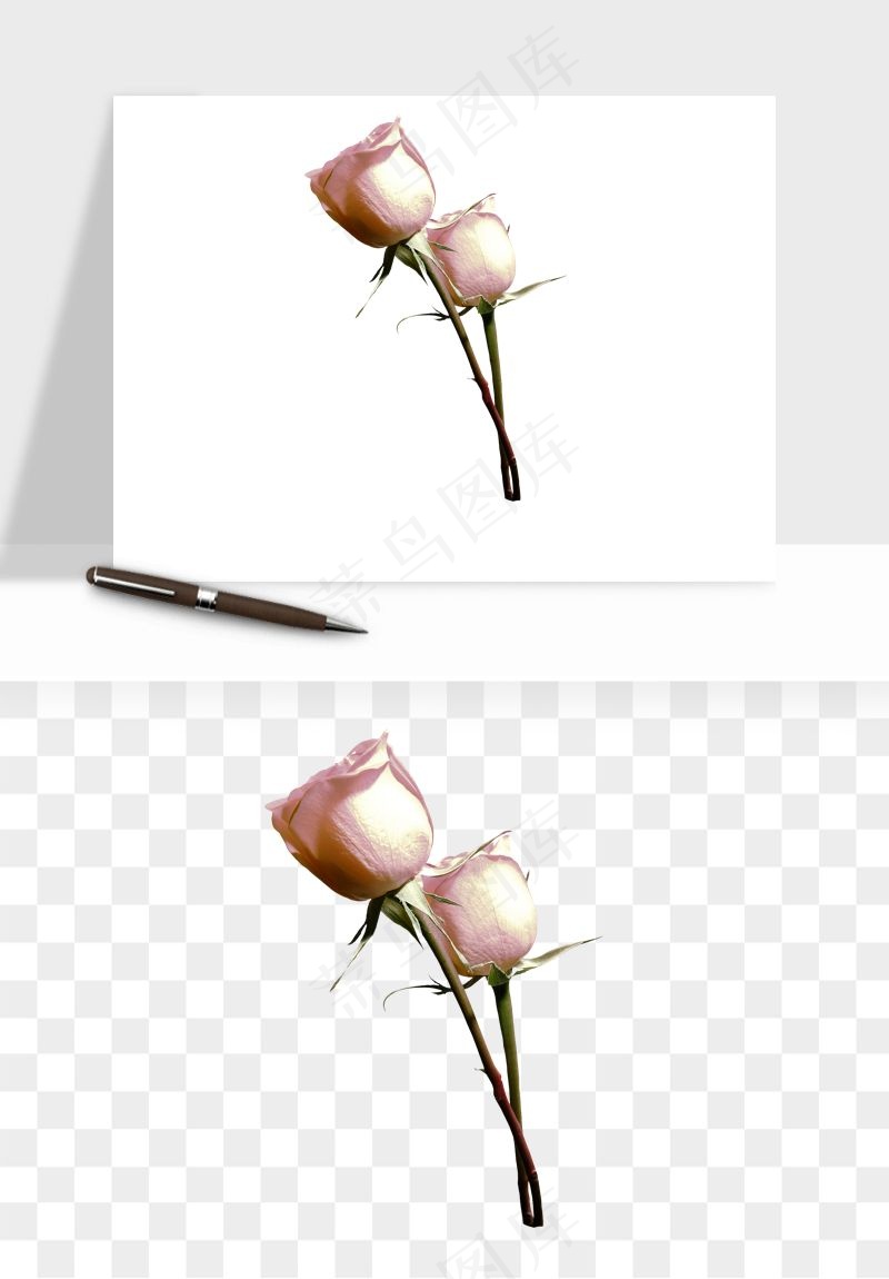 复古鲜花玫瑰png免抠