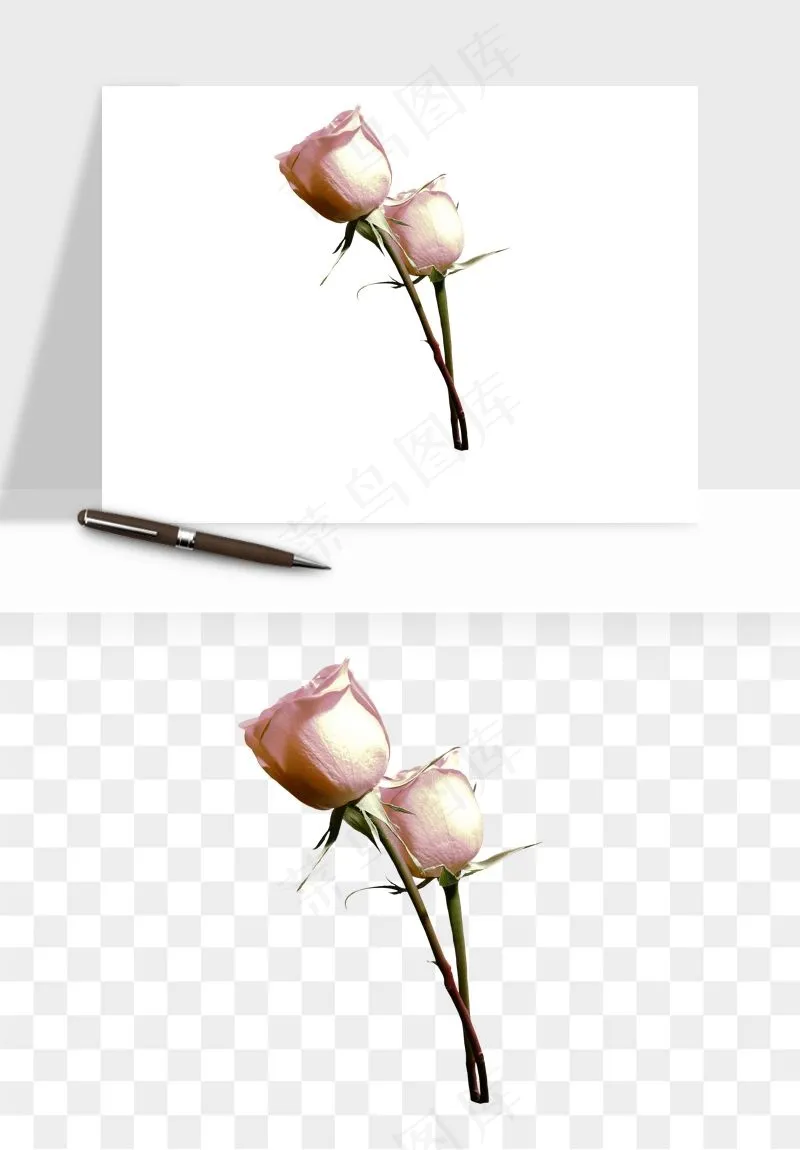 复古鲜花玫瑰png免抠