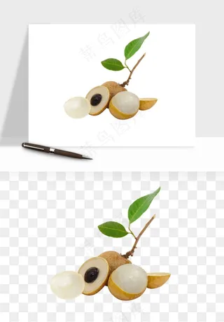 龙眼桂圆水果png免抠