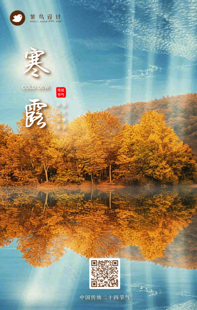 寒露手机海报