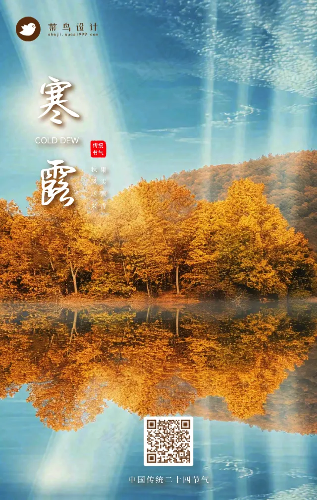 寒露手机海报