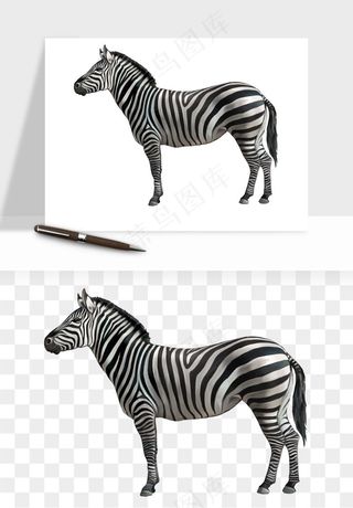 斑马动物png免抠
