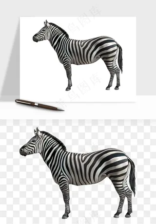 斑马动物png免抠