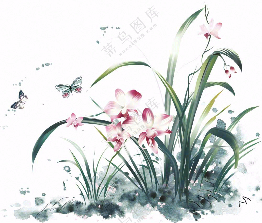 兰花粉色吊兰蝴蝶水墨画插画免抠