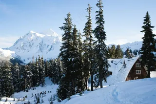 雪域林居静谧图·自然纯净风·白绿安宁色·自然美欣赏