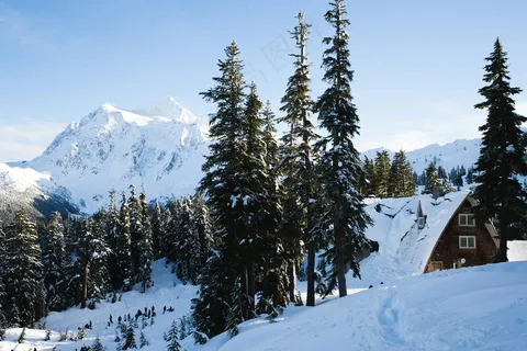 雪域林居静谧图·自然纯净风·白绿安宁色·自然美欣赏 雪域林居静谧图·自然纯净风·白绿安宁色·自然美欣赏