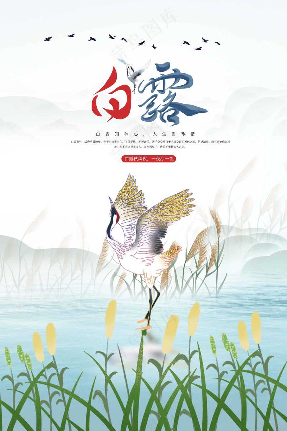 白露节气传统活动宣传海报